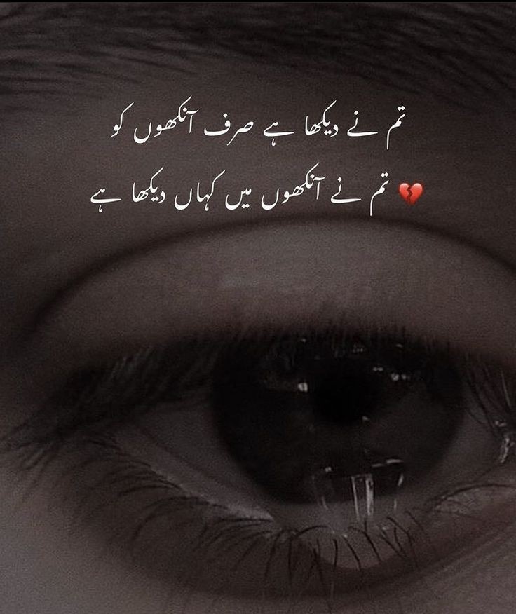 Minal21397848's tweet photo. تم نے دیکھا ہے صرف آنکھوں کو وہ تم نے آنکھوں میں کہاں دیکھا ہے🥺

#อิงล็อต #Gold #BINI #GranHermanoCHV #BelgianGP https://t.co/xmZB2snLjq