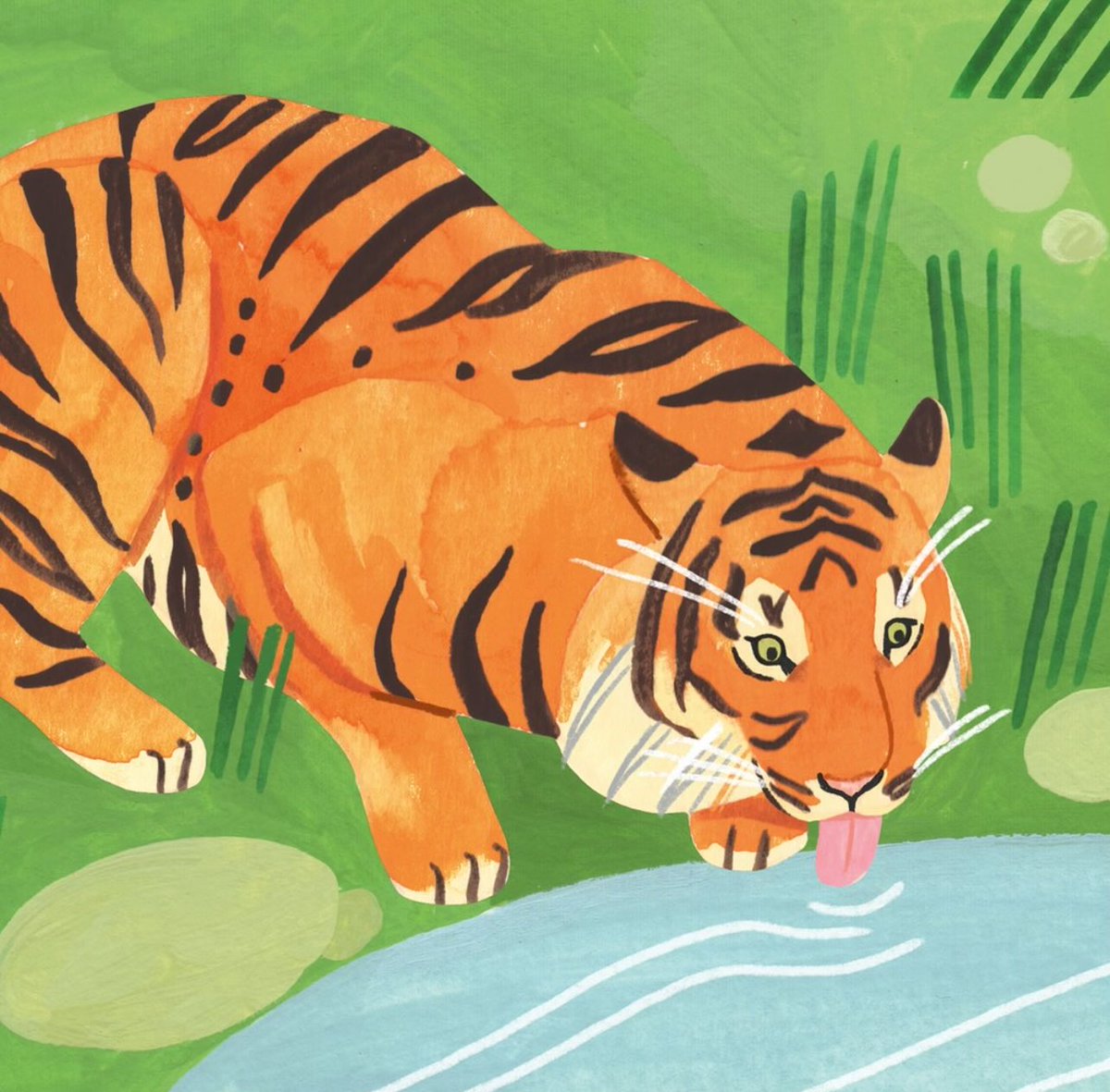 Sam Helle 🐾🐅 tweet media