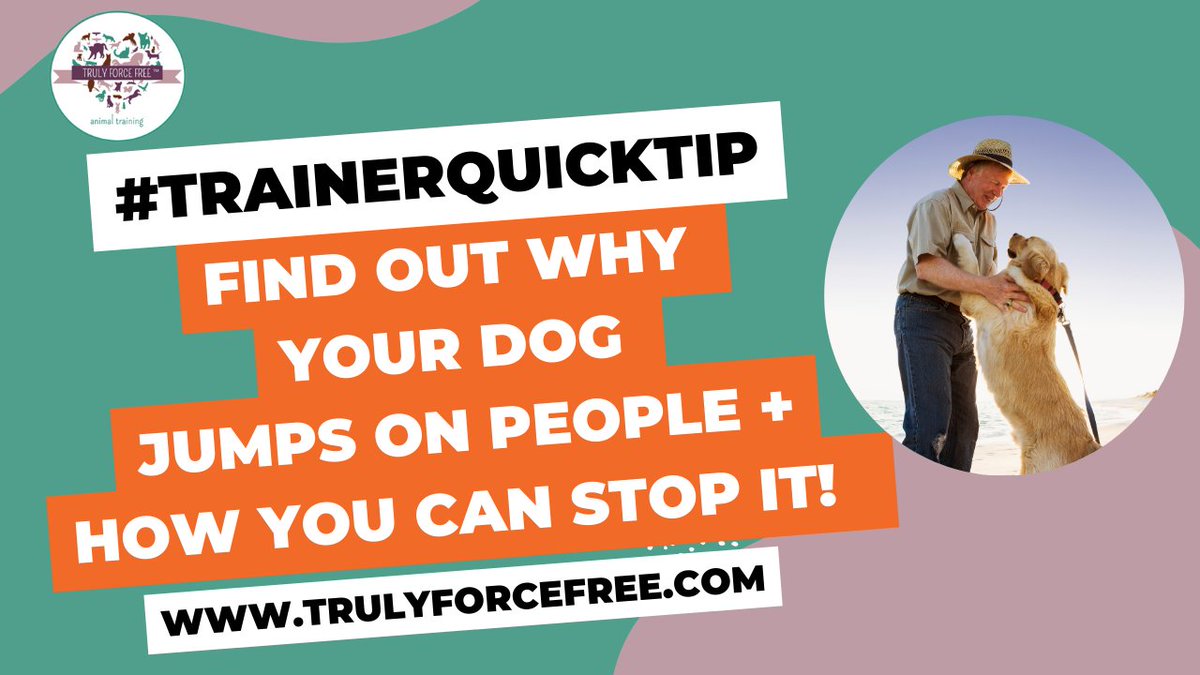 forcefree_pets's tweet image. 🐶😡#trainerquicktip Why Does My Dog Jump on People? 

👉youtu.be/GcsrIV42HgQ