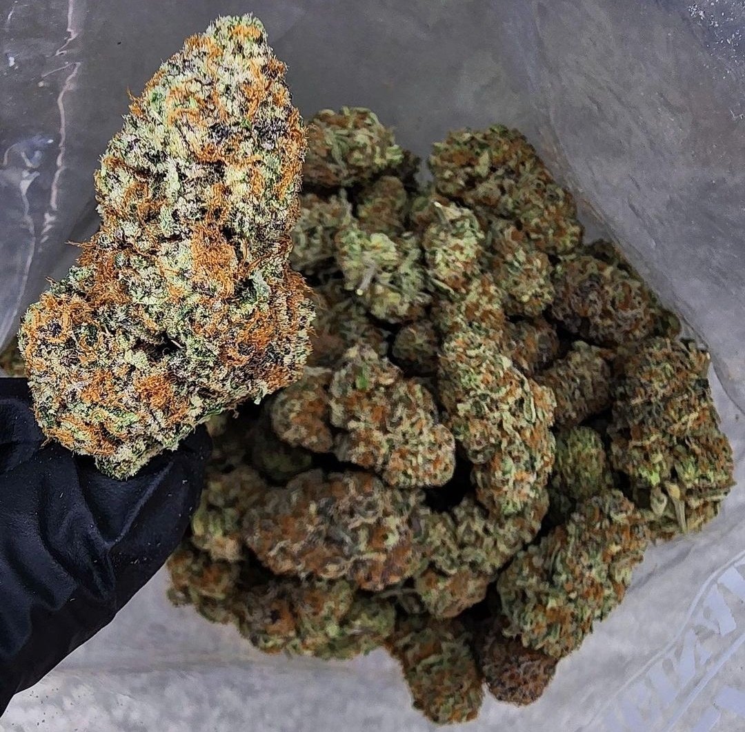 mastertokes tweet picture