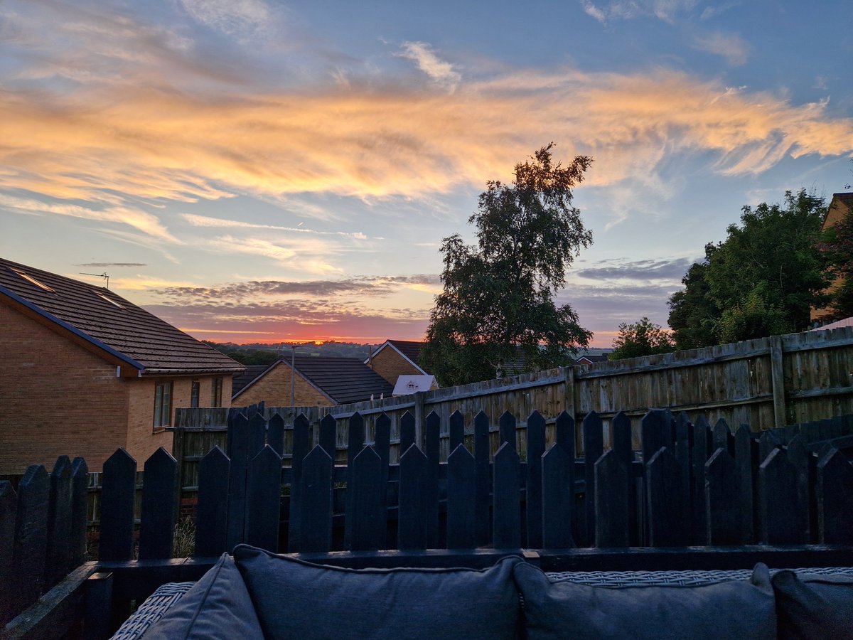 LukeStephens3's tweet photo. About Bloody Time, We Get To Have Some Evenings In The Garden 🌞👌👏 https://t.co/O0YpgE9rXI