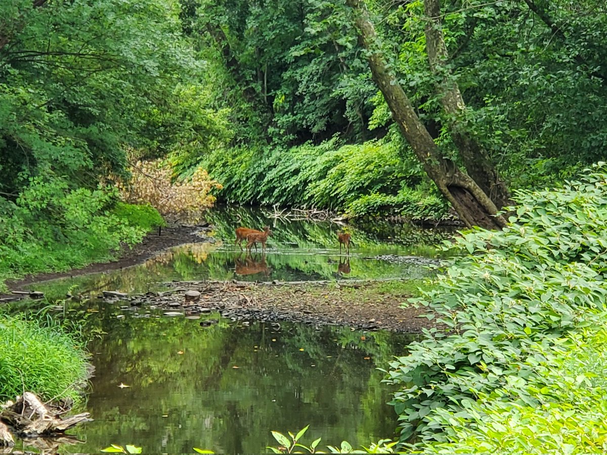 MMcLaughlinsong's tweet photo. Saw this beautiful scene at a park today. I hope you can step away and see the hand of God. https://t.co/Jh3gowSmxZ