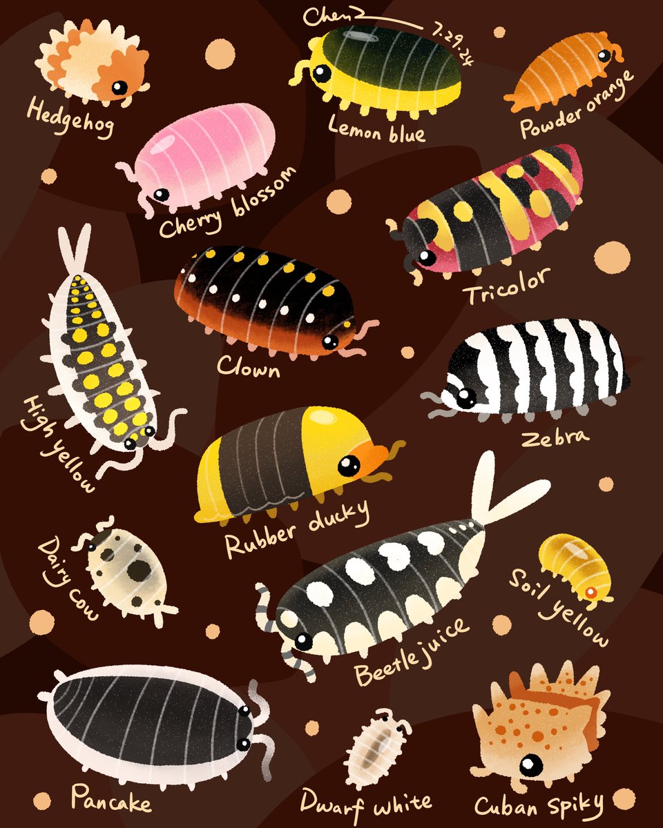 Some isopod energies here! I’m also planning on making a sticker sheet out of this 💕