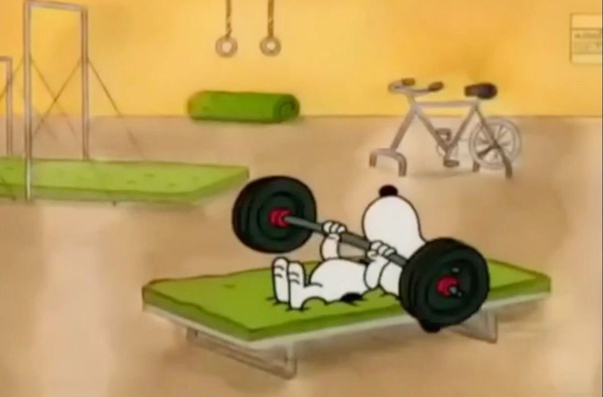 snoopyvinyls's tweet image. snoopy is an all around Olympic athlete fr 🙂‍↕️