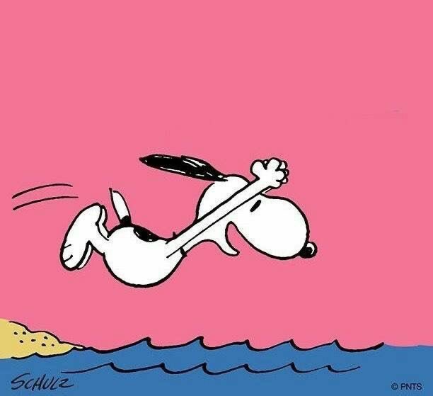 snoopyvinyls's tweet image. snoopy is an all around Olympic athlete fr 🙂‍↕️