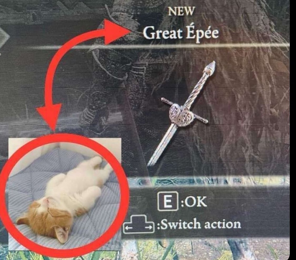 Punch Cat (@punchingcat) on Twitter photo 