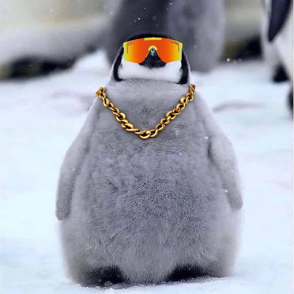 PenguCTO's tweet photo. So you trade memecoins and faded $PENGU ? https://t.co/fUACTDX8vH