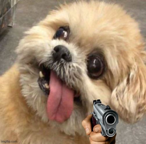 retardogcto2's tweet photo. @sibeleth +∞: RETARDOG https://t.co/ZGVsAkP2r5