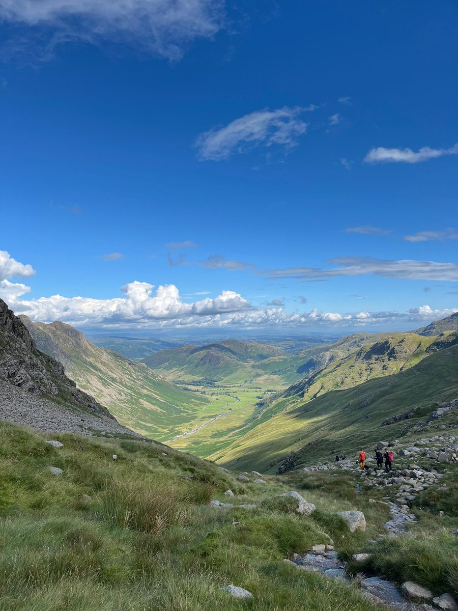 TheBowelMovement tweet media