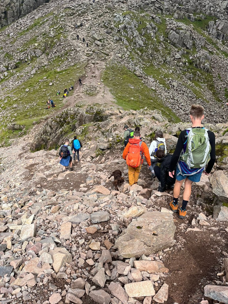 TheBowelMovement tweet media