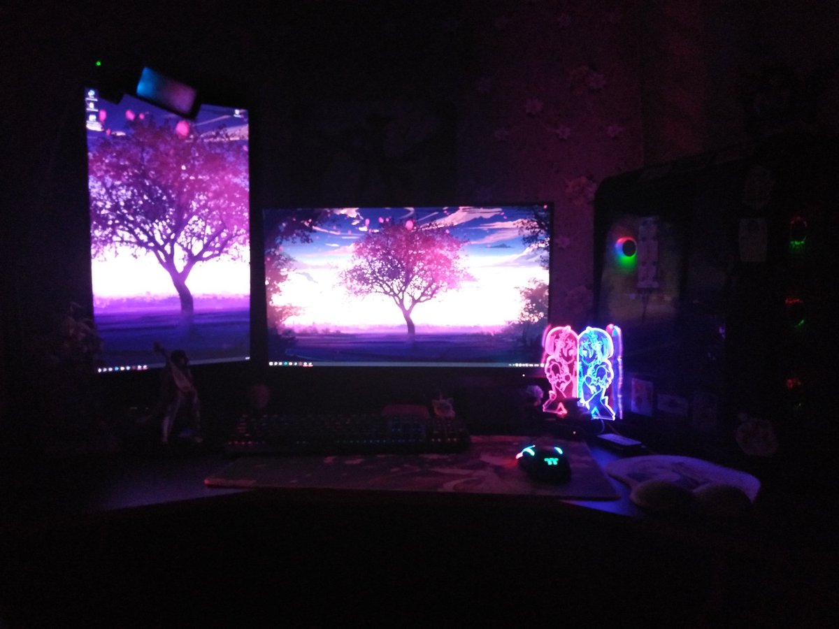 吉田雪 (@angry_cat_meow_) on Twitter photo 