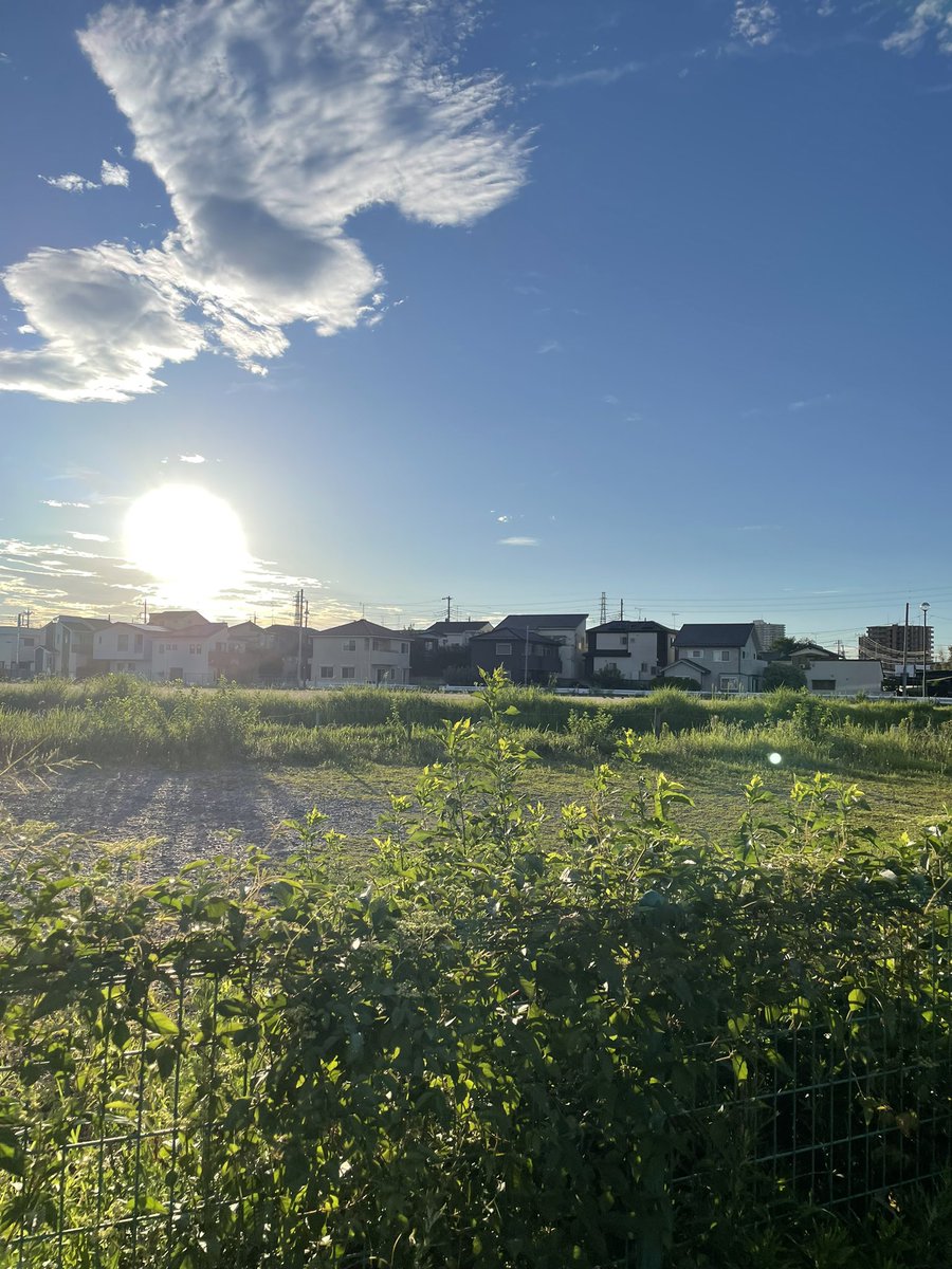 narabito35's tweet photo. おはようございます😃

朝んぽ🚶
今日も暑くなりそうですね！本日も頑張りましょう💪

#ダイエット
#朝活 https://t.co/JBSvVfugfJ
