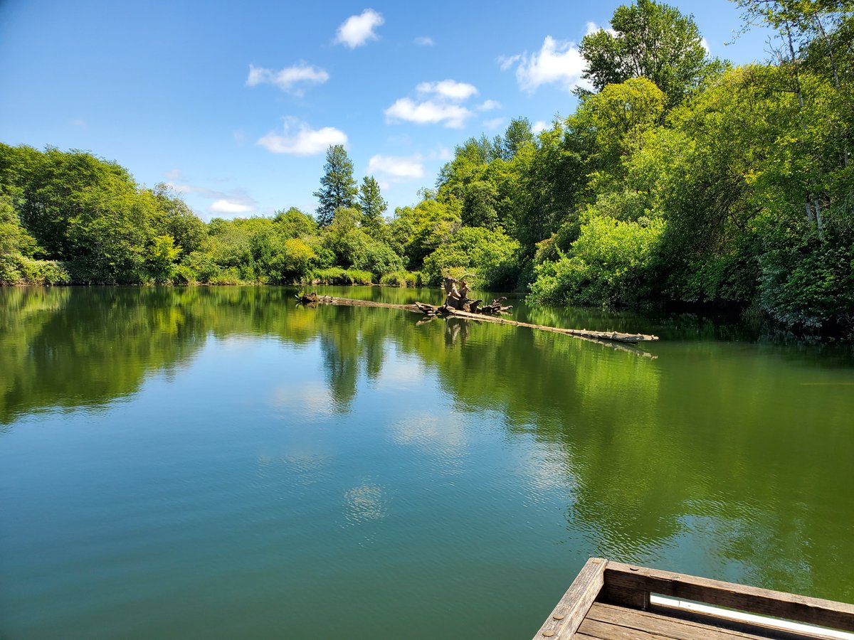 ZondaNature's tweet photo. Lake Quigg https://t.co/31GapZ4h1s