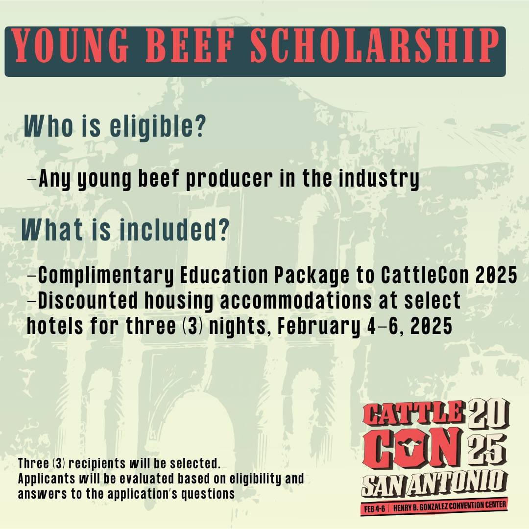 thiscattlevet's tweet photo. Want to turn your cattle dreams into reality? ✨ Scholarships are open for #CattleCon25! Don't miss this chance to learn, network, and launch your career! 

Visit the link https://t.co/YbgN5I9oaj
 #cattleindustry
#CattleCon #NCBA  #NCBATradeShow #cattleindustry #beefindustry https://t.co/B4LuWArLbn