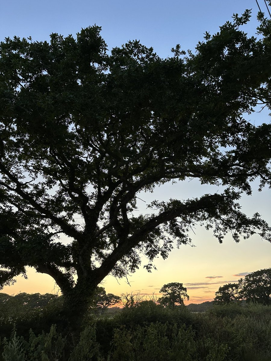 Claire Earley tweet media