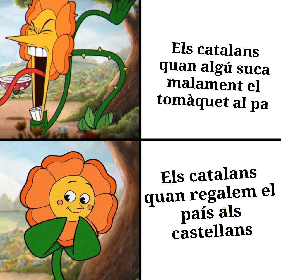 Ferran M (@alexandrepeig) on Twitter photo 