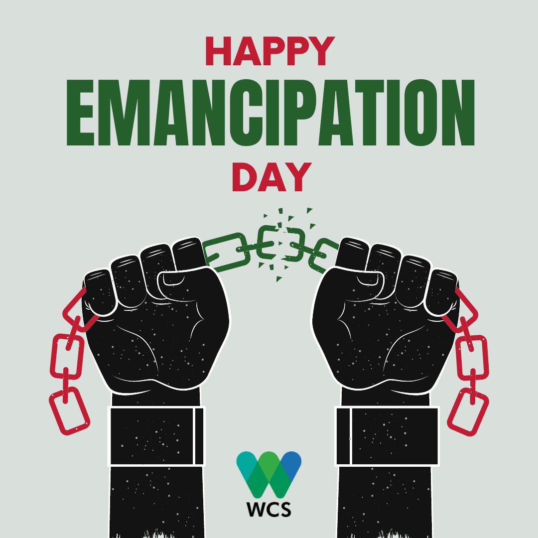 On #EmancipationDay, we celebrate the resilience, strength, and spirit of our ancestors who fought for freedom and equality.  Let us pay homage to the indigenous peoples, their presence and legacy which are deeply woven into the fabric of Belize.

 #IndigenousPeople