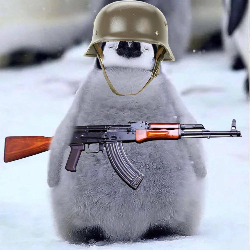 PenguCTO's tweet photo. $PENGU is fighting the $1M resistance with the jeets in the trenches https://t.co/oDcXYBmncQ