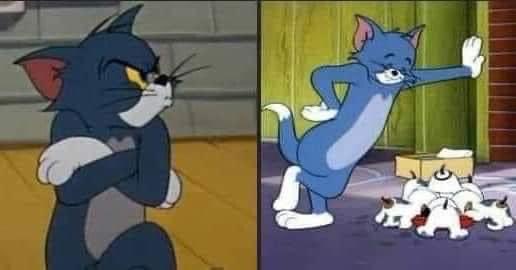 egymeme11's tweet photo. انا مع الحيوانات :                            انا مع الناس: https://t.co/53hQjfIt93