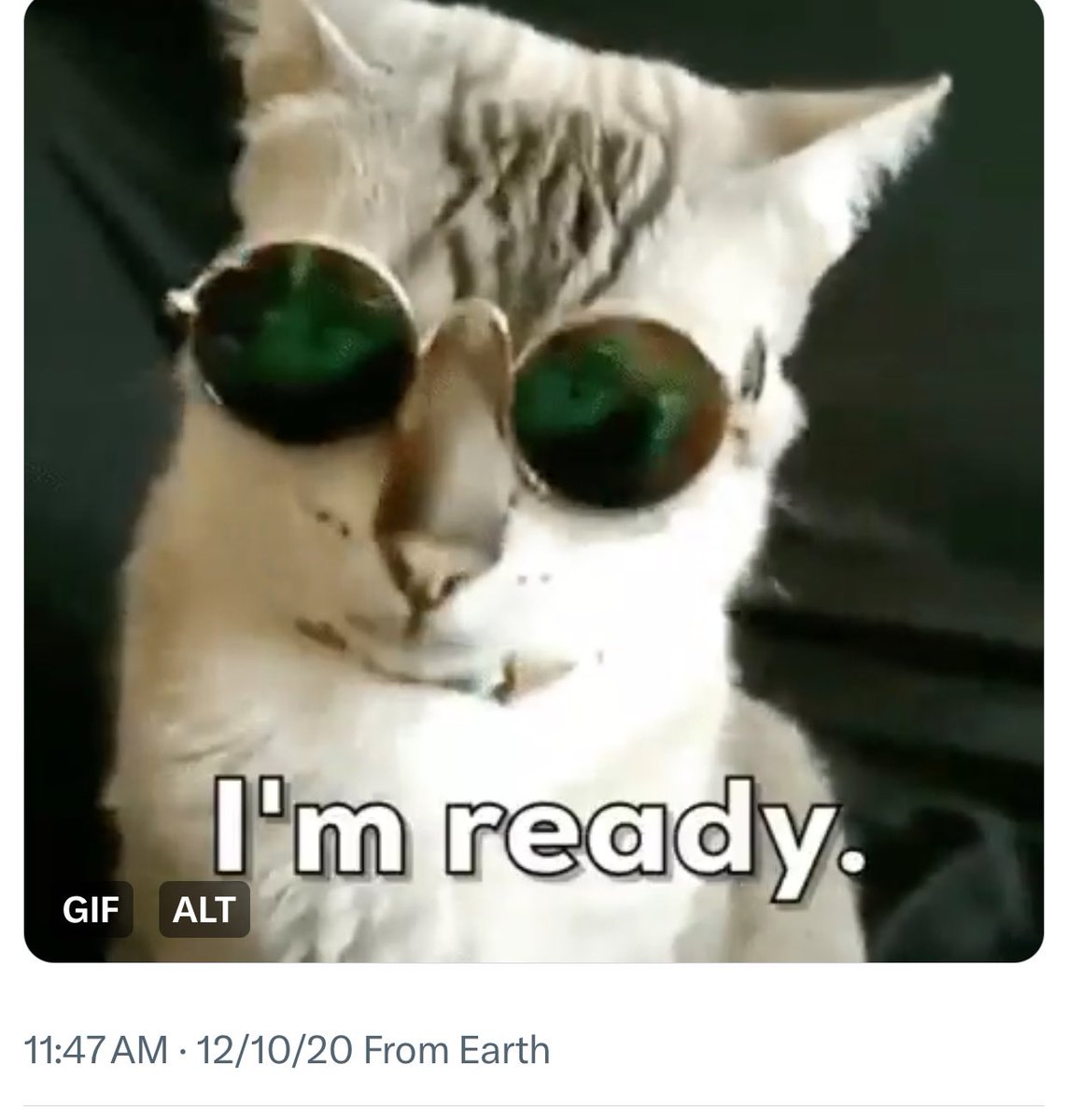 MSmithProject's tweet image. Ain’t shit 😮‍💨 but #datxtweet = #dax8 👏🏽 #azwel 👇🏽 11:47 + 12/10 ~ so both the #zisterz helping u #predikt shit #nadvance #situationz = 8? + 2 for #confirmationz @ 20’ or that’s 2 smooth #4yoo? 

#thex8 is #aboutkee ~ #popquiz can she #predict #daxfuture or not 🅱️, u need 2 focus