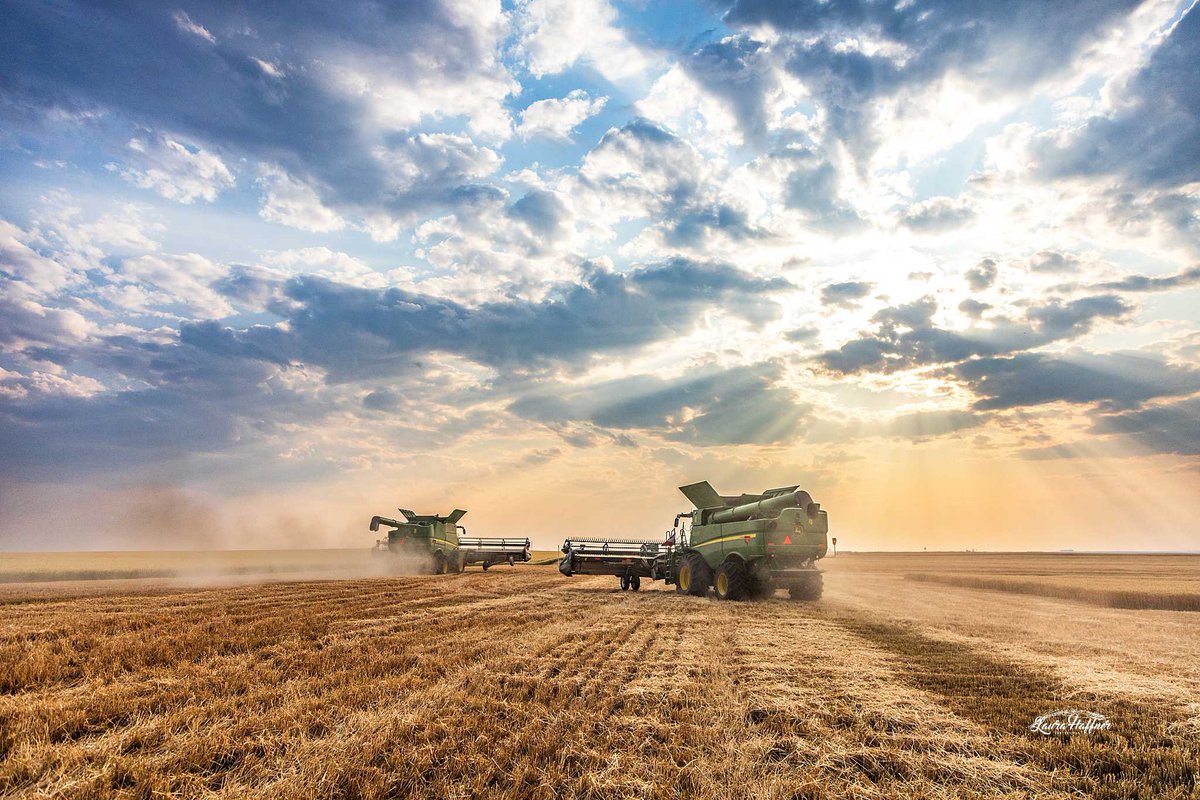 Laura Boroughs-Haffner tweet media