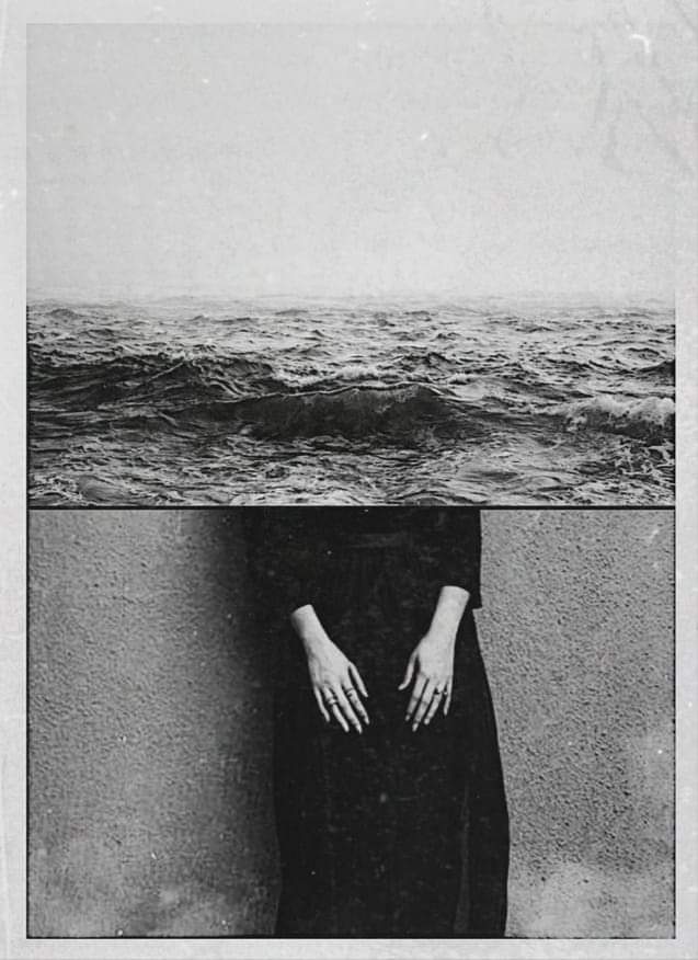 j.j. de oliveira tweet media