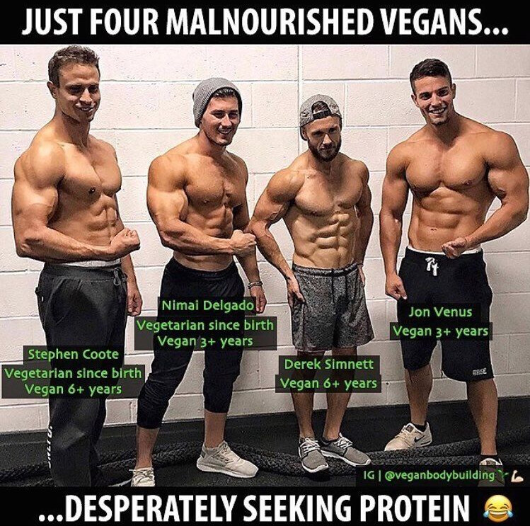 #VeganMeme
Common #myth: vegans can’t get muscular because we don’t eat animals. ❌ In reality, one cup of cooked lentils packs nearly 18g of protein—more than a hamburger—and is loaded with more benefits ! 🌱
Curious to learn more?⬇️
▶️ vegansupplementstore.co.uk

C: @robertcheeke