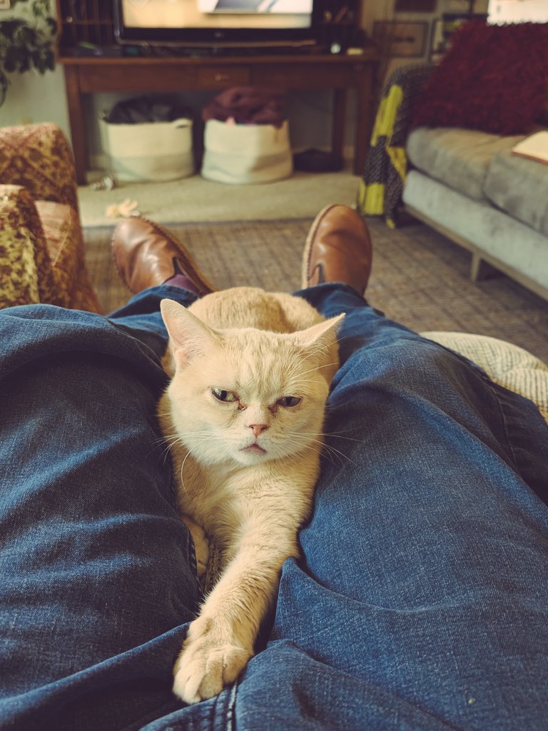 Wetherby is comfortable and I don't think I should try to get up right now.