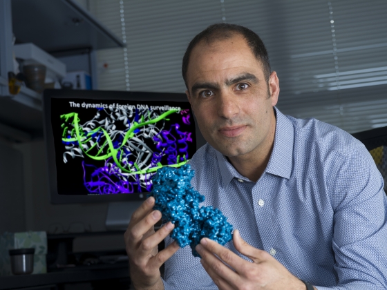 MSUCollegeofAg's tweet image. Dr. Blake Wiedenheft of @MSU_MicroImmuno  was recognized last month by agInnovation West for his high-impact research! 

A well-deserved honor, indeed. Read more about the award and his work below!

montana.edu/news/23862