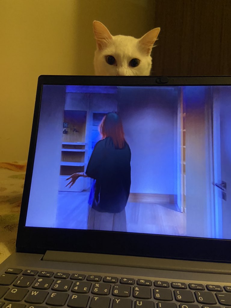 annabeth chase tweet media