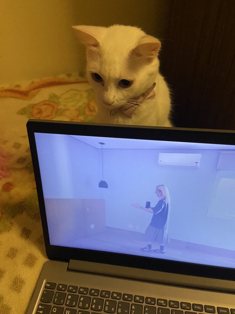 annabeth chase tweet media