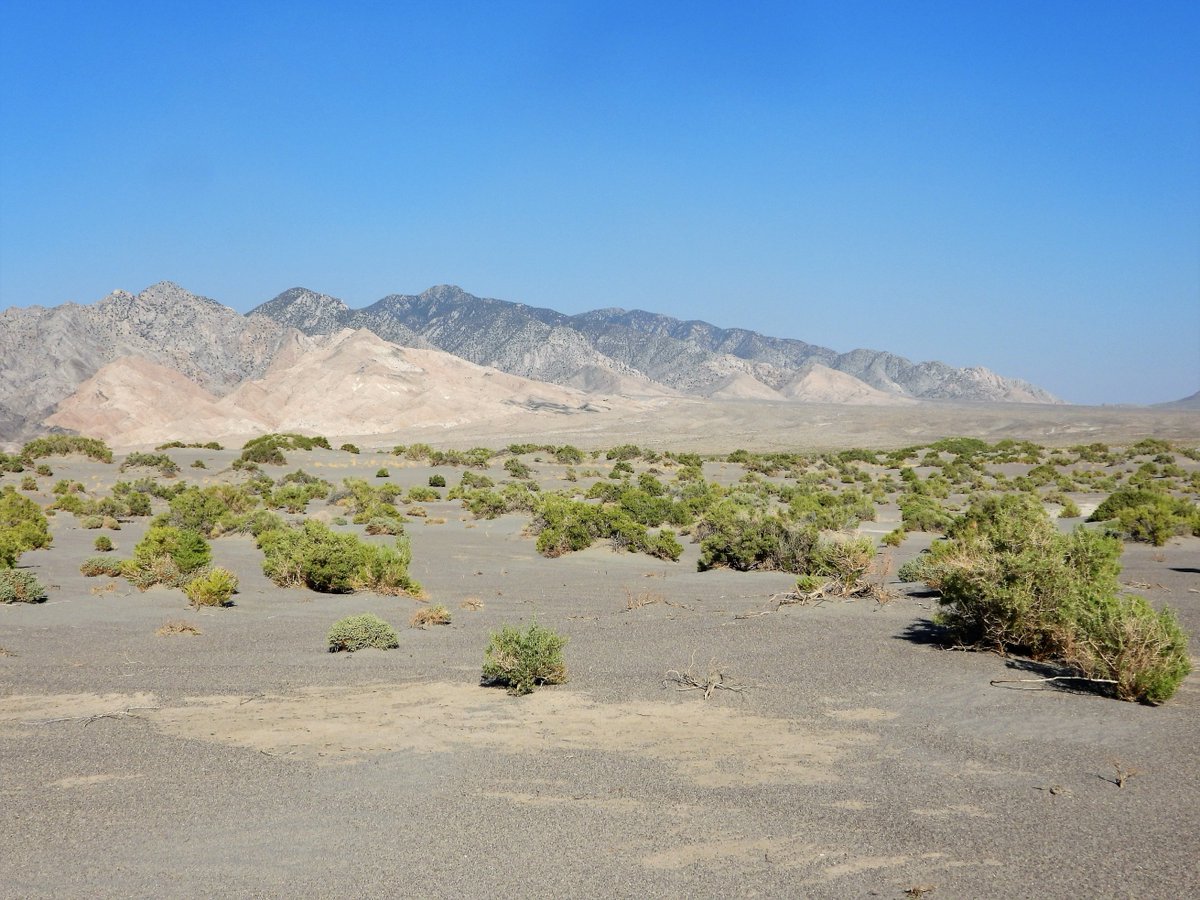 Basin & Range Watch tweet media