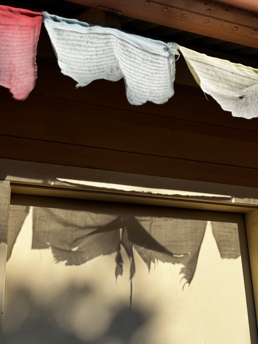 Up early, doing morning pages, trying to get my chapters done before my brain wakes up and makes things difficult.

Hope you can find a moment today, even five minutes, to make something.

#amwriting #flow #morningpages