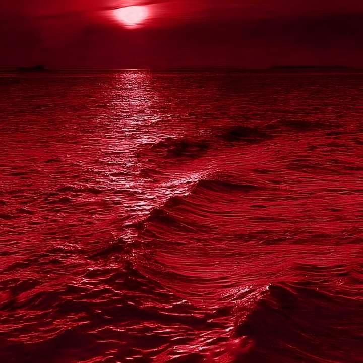 imSajjad174's tweet photo. Red (the blood of innocent souls).

#RedForJustice
#StepDownHasina
#SaveBangladeshiStudents https://t.co/TY2iHlZEGm