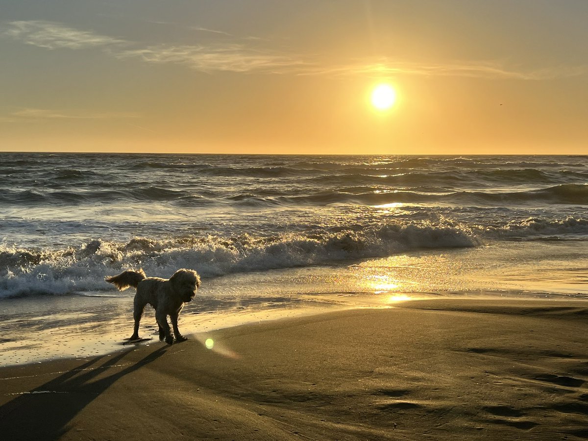 Raleigh lab is hiring! Come join us in San Francisco 🇺🇸