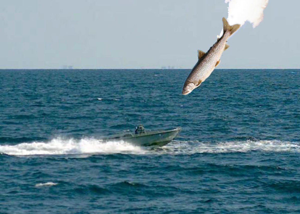 <a href="/Sardine737/">Sardine737</a> Facts!! $Jet at me hoe!!