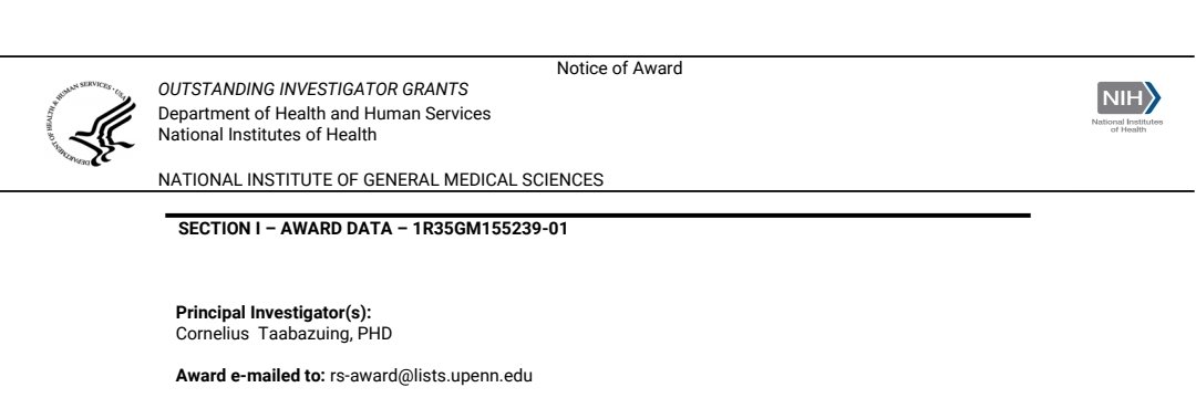 Cornelius Taabazuing tweet media