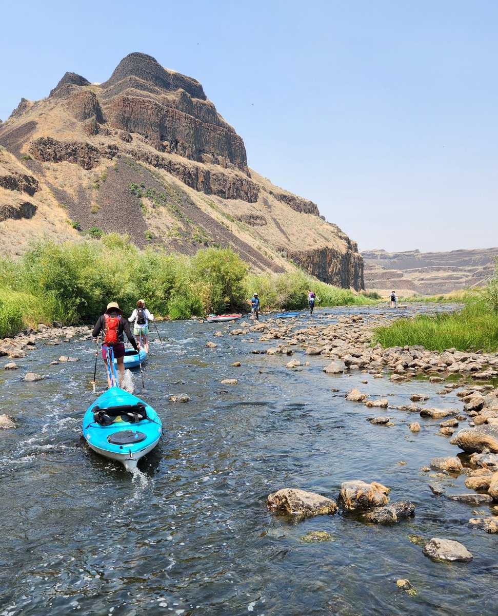 Mainstem Malt tweet media