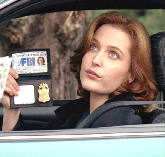 “when Gillian is playing the smartest person in the room, you buy it immediately.” — well, yes!