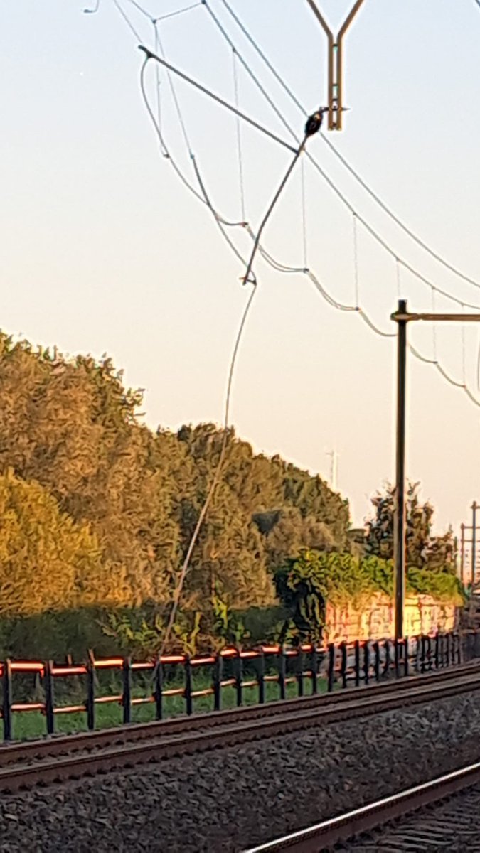 Theo van Unen - Koele tweet media