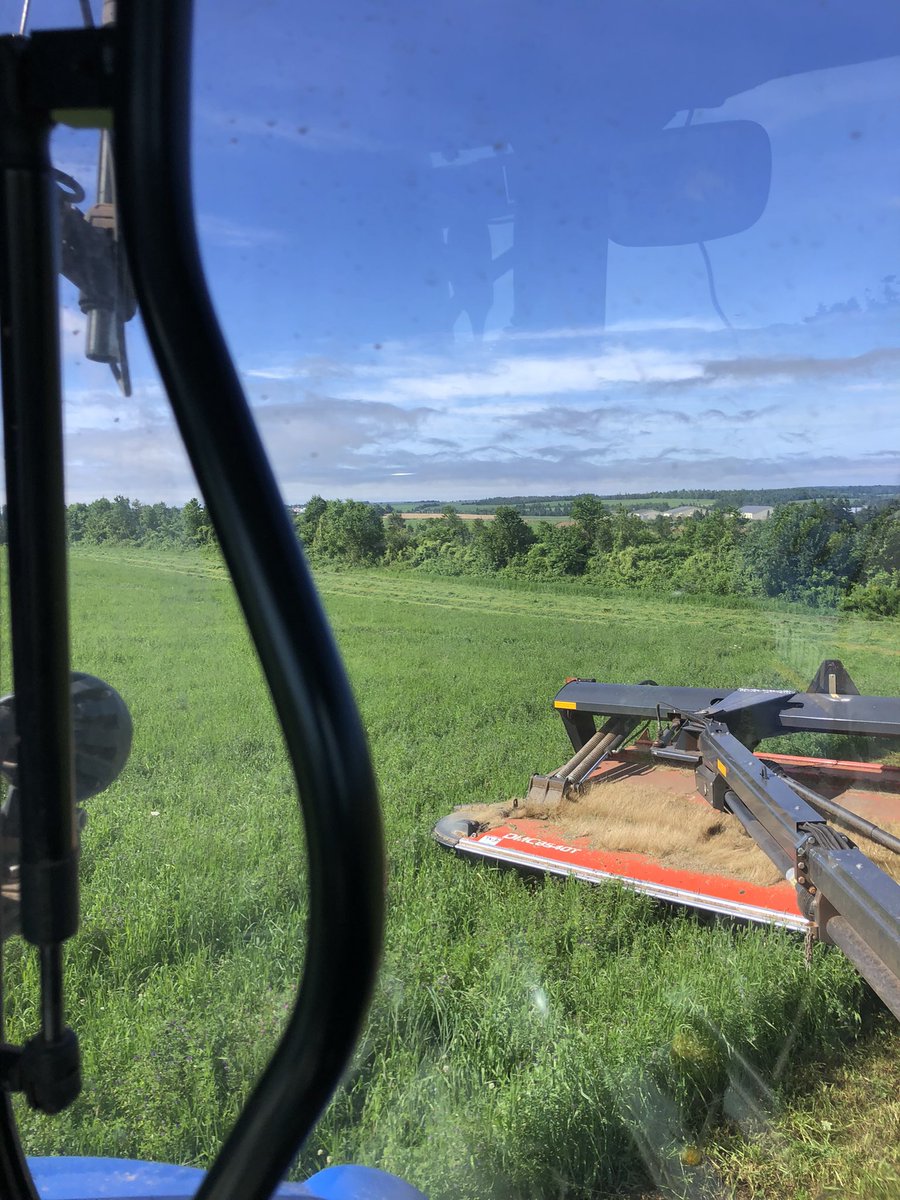 Starting 2nd cut hayw