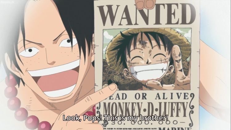 One Piece Daily (@opdaiiy) on Twitter photo 