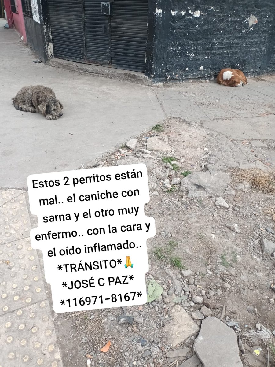 patripeyrou's tweet photo. Difundimos https://t.co/D2w6yoUgLg