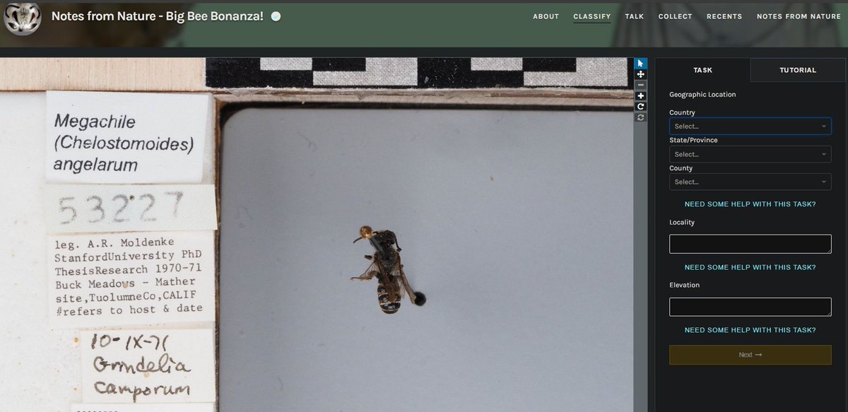 Want to help make old natural history collection be digitized and publicly available?  Check out all of these projects where you can transcribe labels of old museum collections. It's kinda fun to see what the next one will be :)

zooniverse.org/organizations/…