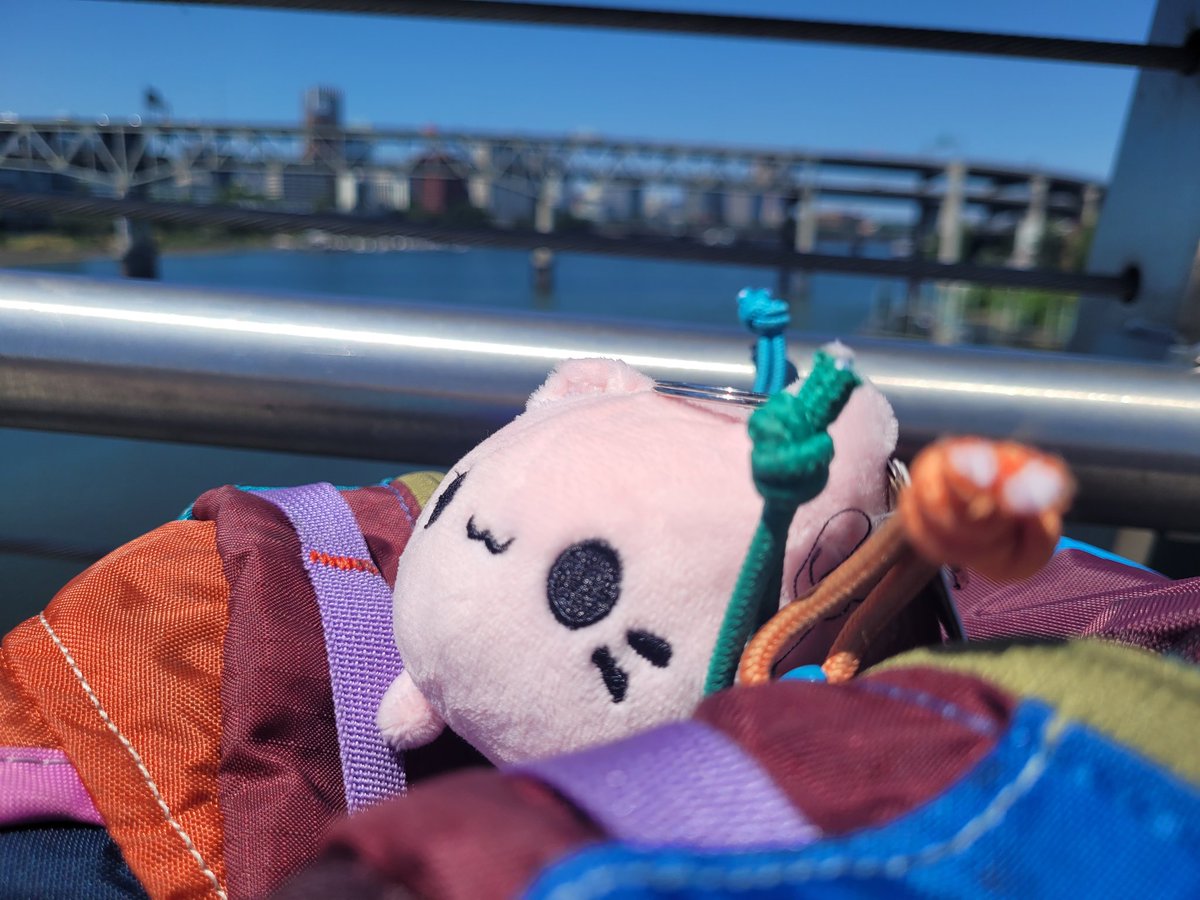 FlowerCrow tweet media