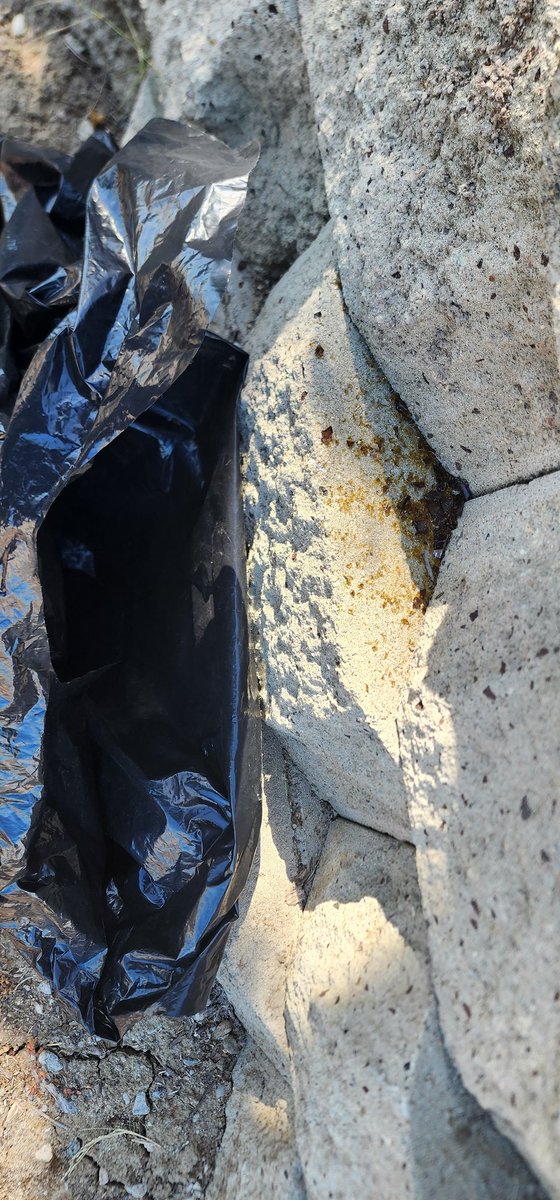 ReviveLos's tweet photo. Not just a day of service.

Picking up trash, lobbying legislators and rubbing elbows' grease with helpful public  agencies?  Sure.

#LARiverWalkersAndWatchers @winnetkanc 
@Uuebmeister https://t.co/kgNSYaEjAs