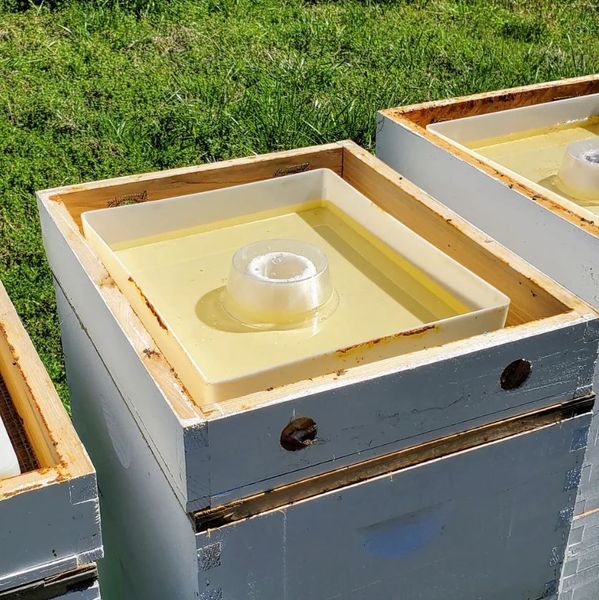 FoxhoundBeeCo's tweet image. Our 10-frame top feeder, which has a slightly over 2 gallons capacity, is intended to give beekeepers a means of feeding a large amount of sugar water or other feed inside the colony.
bit.ly/3Di2qUU  
#beekeeperlife #beekeepinglife #beekeeping101