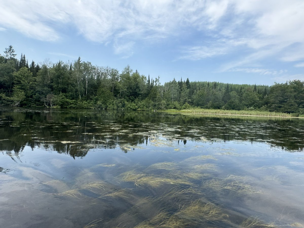 Monday moment of zen…Brule River WI