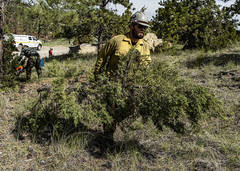 DOIWildlandFire's tweet image. As the world looks to #Olympians, we focus on our own athletes: wildland firefighters. Stay tuned this month as we cover the physical fitness, skills, and talents that allow wildland firefighters to tackle extreme wildfire activity.

#NotyourOrdinaryJob #OlympiansMadeHere