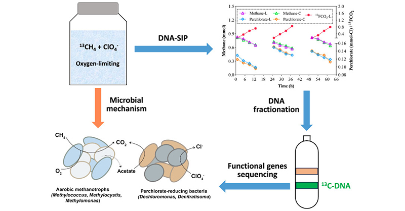 Environmental Science & Technology Journals (@envscitech) on Twitter photo A research team led by <a href="/MengxiongW/">Mengxiong Wu</a> <a href="/gjhua316/">Jianhua Guo</a> of <a href="/uqwater/">UQ ACWEB</a> <a href="/UQ_News/">UQ News</a> found that synergistic interactions between aerobic #methanotrophs and perchlorate-reducing #bacteria play active roles in mediating methane-driven #perchlorate reduction.
ES&T: go.acs.org/aji A research team led by <a href="/MengxiongW/">Mengxiong Wu</a> <a href="/gjhua316/">Jianhua Guo</a> of <a href="/uqwater/">UQ ACWEB</a> <a href="/UQ_News/">UQ News</a> found that synergistic interactions between aerobic #methanotrophs and perchlorate-reducing #bacteria play active roles in mediating methane-driven #perchlorate reduction.
ES&T: go.acs.org/aji